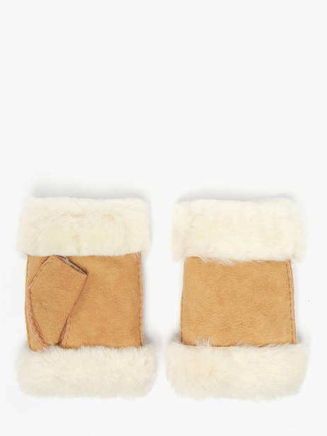 Handschoenen Isotoner Bruin women gloves 68663